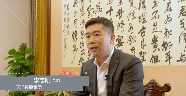 领航国际 协同 业务定制 平台应用 天洋控股