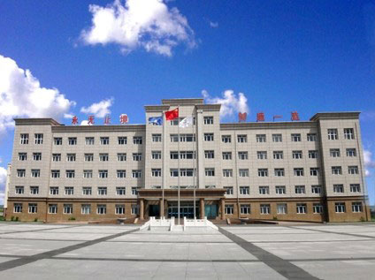 领航国际 协同办公 公文管理  流程审批