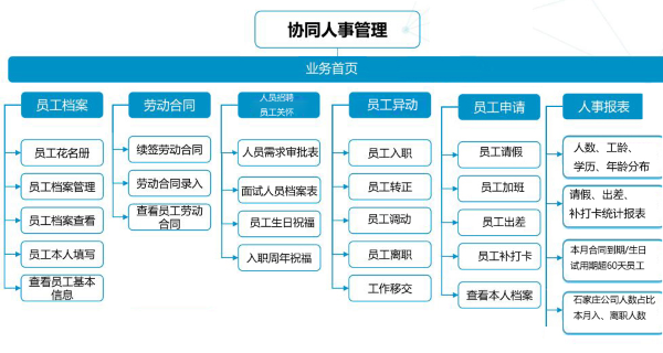 河北 紫岩 协同 人力管理 领航