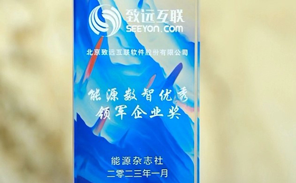 领航国际 COP 协同办公