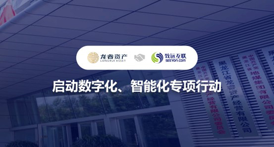 领航国际，龙睿集团