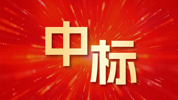 领航国际，提案办理系统