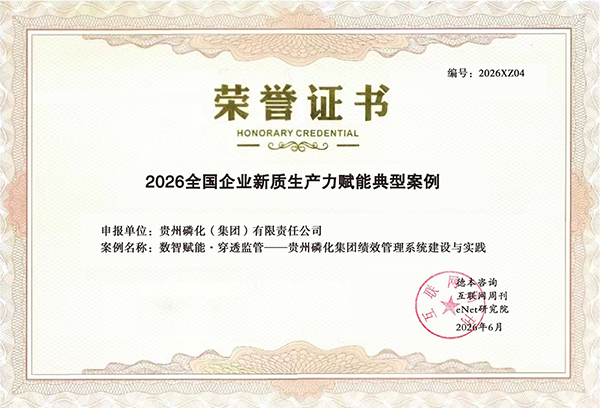 领航国际，贵州磷化集团